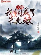 大明：我重生成了朱允炆